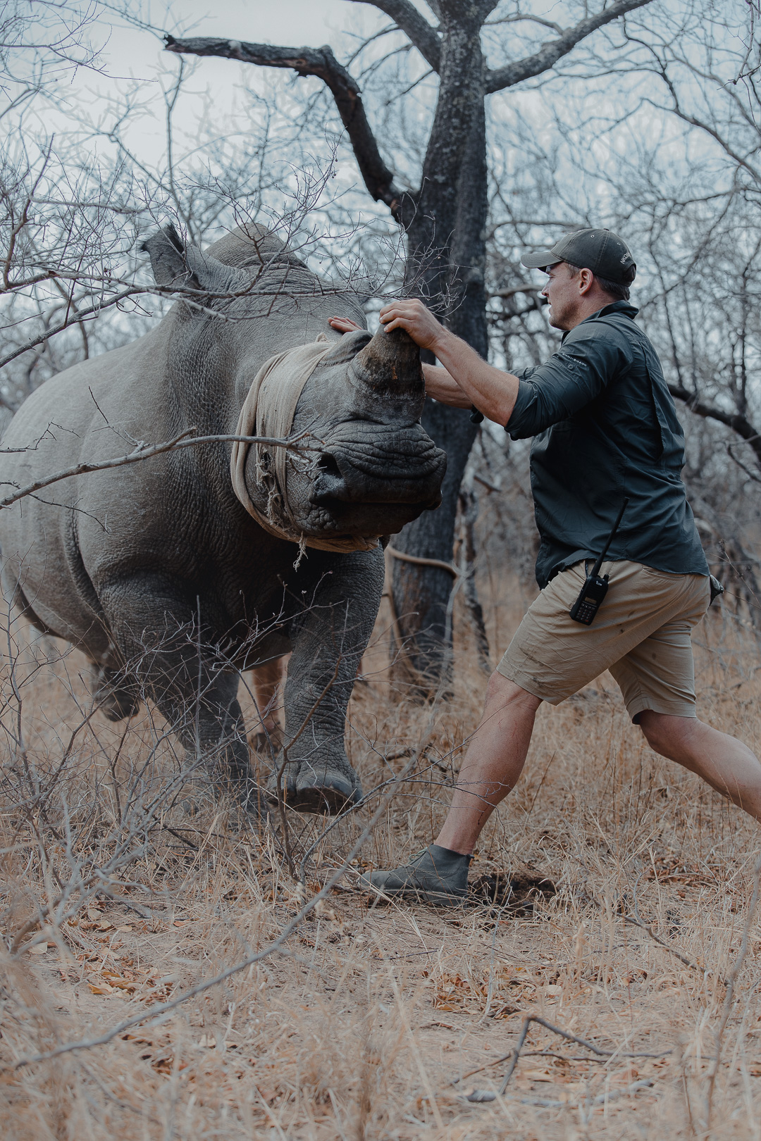 NKombe Rhino no signature-24